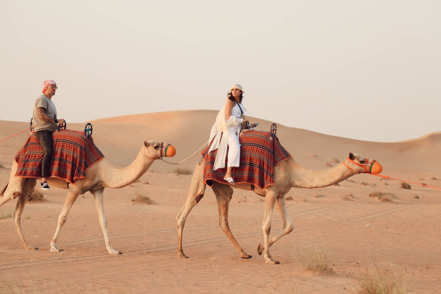 شتر سواری در صحرای دبی